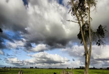 狼队连续三轮不胜，降级危机临头！