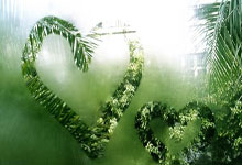 狼队连续三轮不胜，降级危机临头！