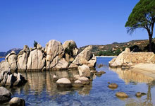 狼队连续三轮不胜,降级危机临头!